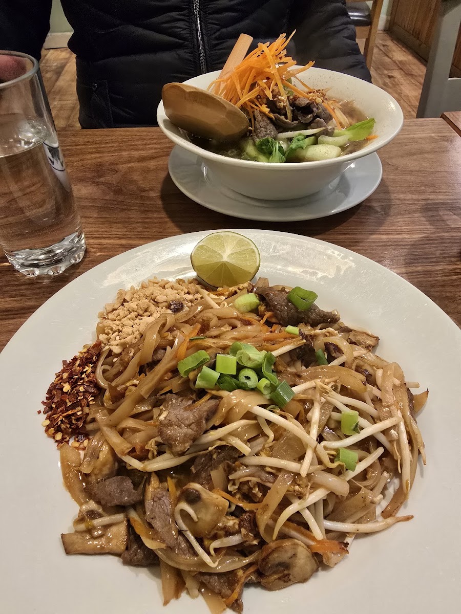 Chilli Basil Photos 2